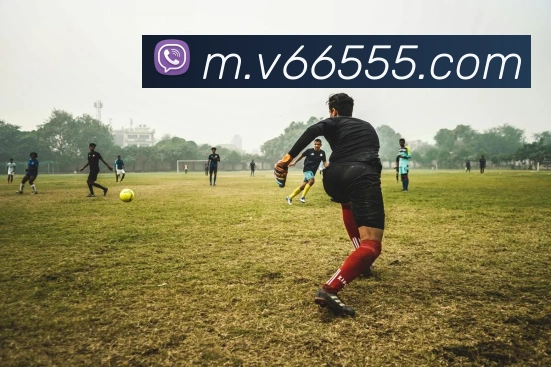 V66体育品牌故事